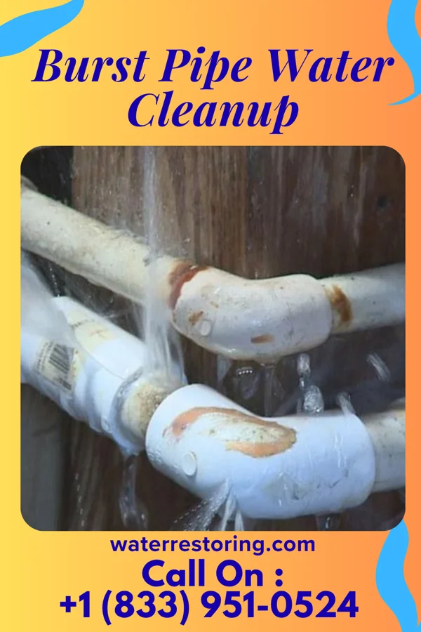 Burst Pipe Water Cleanup in Kinney, MN