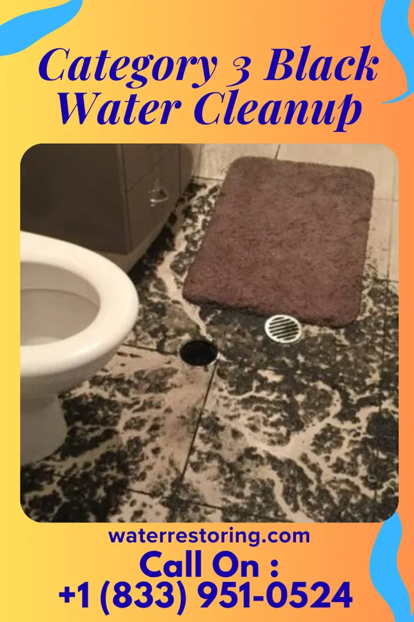 Category 3 Black Water Cleanup in Kinney, MN