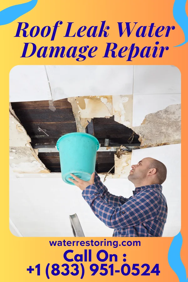 Roof Leak Water Damage Repair in Kinney, MN