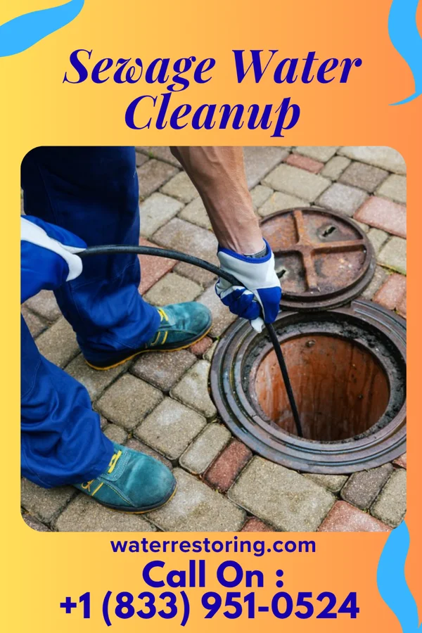 Sewage Water Cleanup in Kinney, MN